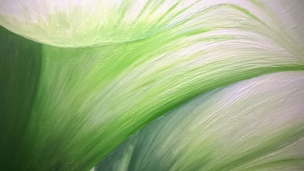 Arum Lily heart 2